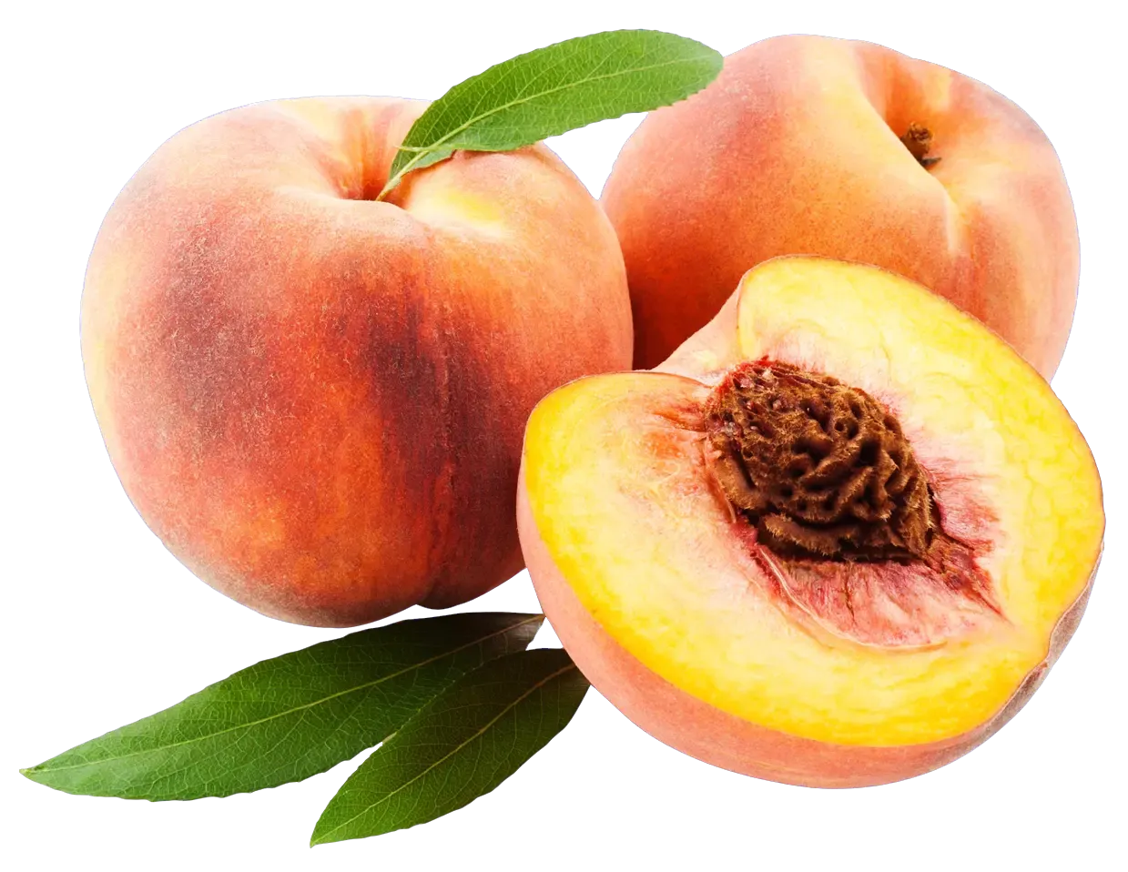 Essential Oil -Peach (Prunus Persica)